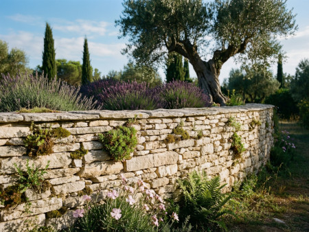 magnifique muret en pierre sèche traditionnel parfaitement construit
